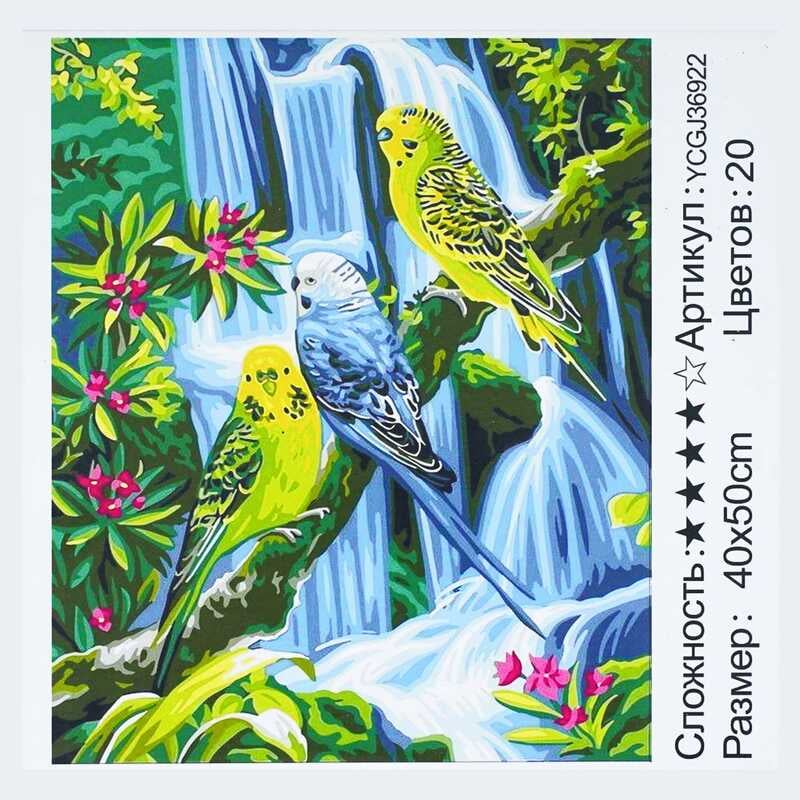 Картина за номерами YCGJ 36922 (30) "TK Group", 40х50 см, "Папуги", в коробці