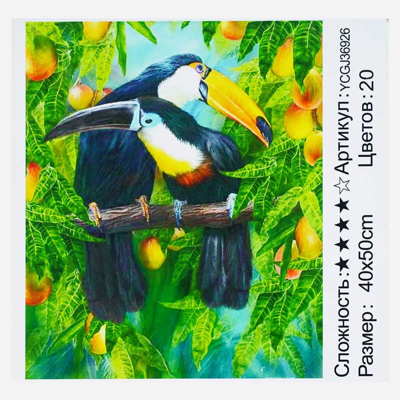 Картина за номерами YCGJ 36926 (30) "TK Group", 40х50 см, "Тукани", в коробці