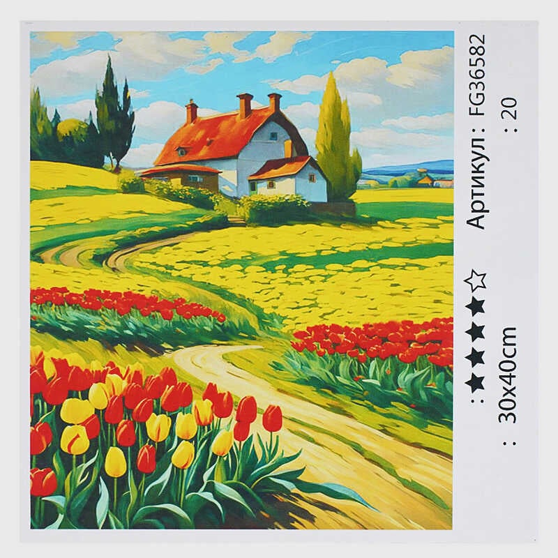 гр Картина за номерами FG 36582 (30) "4FUN Game Club", 30х40 см, в коробці