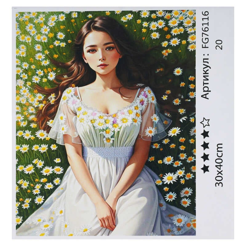 гр Картина за номерами FG 76116 (30) "4FUN Game Club", 30х40 см, в коробці