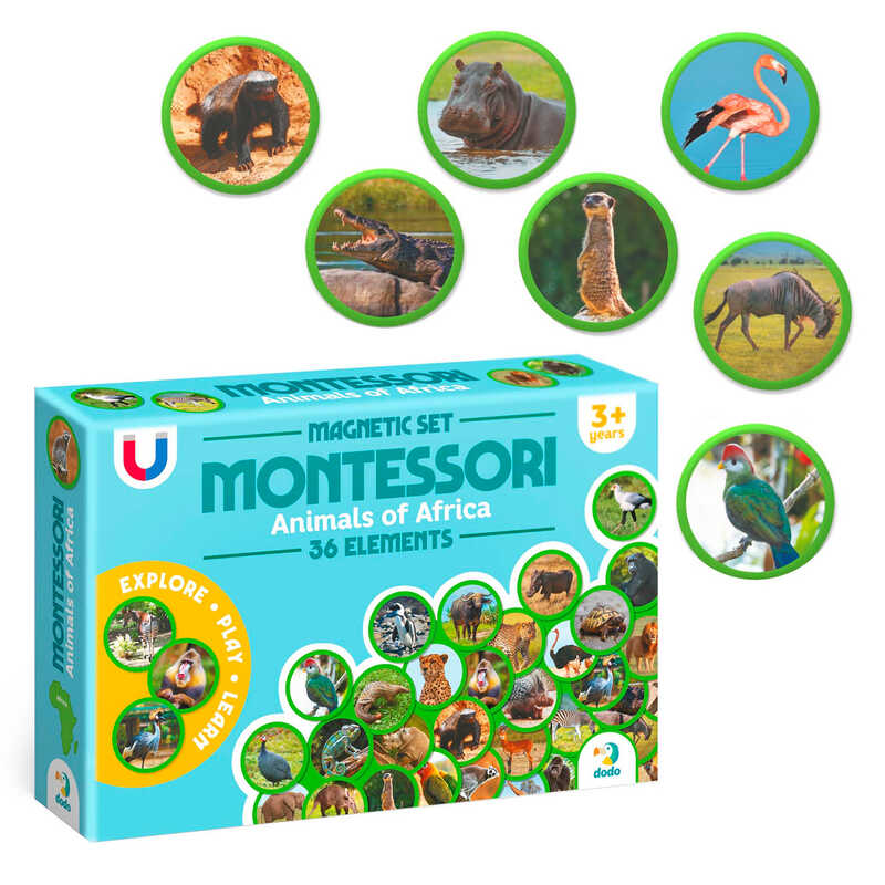гр Магнітний набір Монтесорі «Тварини на континентах: Африка» 200284  (32) "Dodo", 36 елементів, в коробці