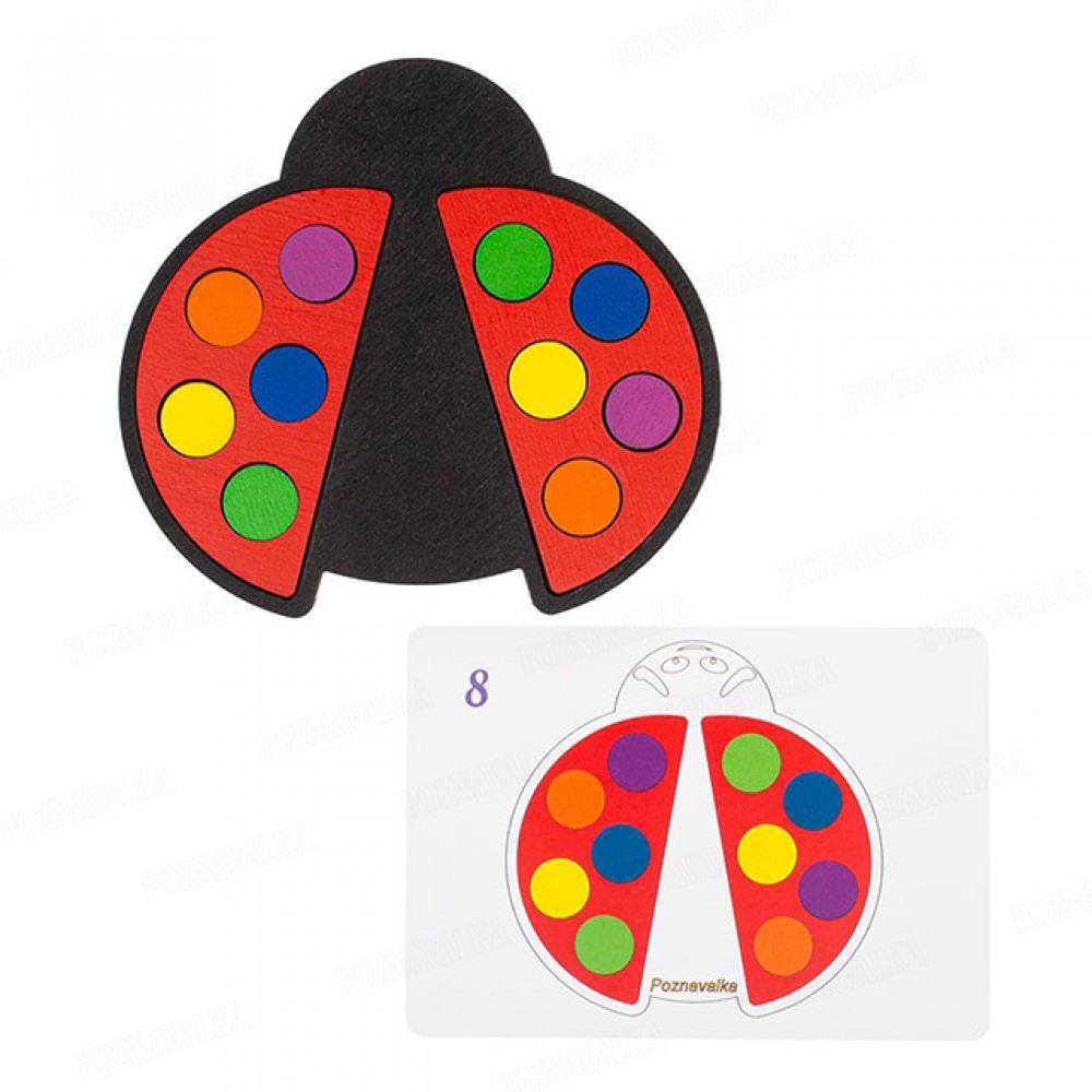 Жук сонечко