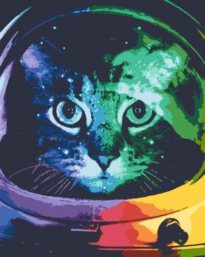 Картина за номерами "Котонавт"