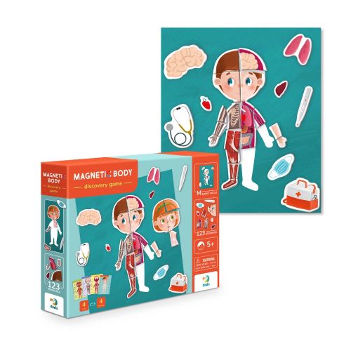 Навчальна гра "Магнітне тіло"