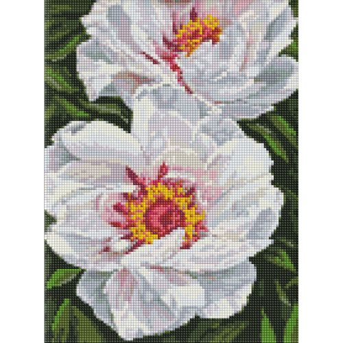 Алмазна мозаїка "Білі півонії" 30х40 см