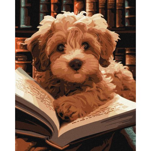 Картина за номерами "Пухнастий читач" 40х50 см