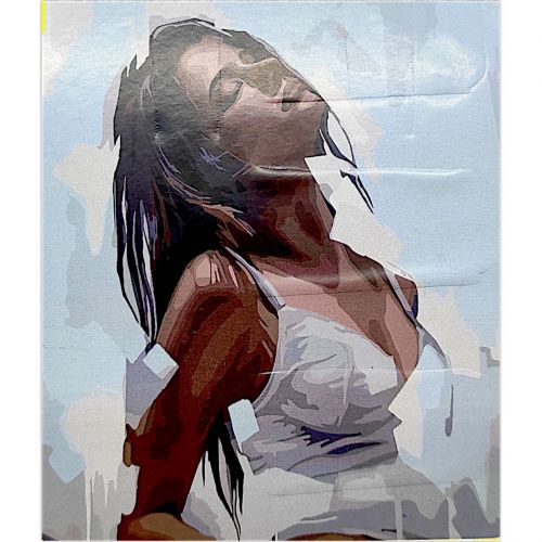 Картина по номерах "У стилі модерн" 40х50 см