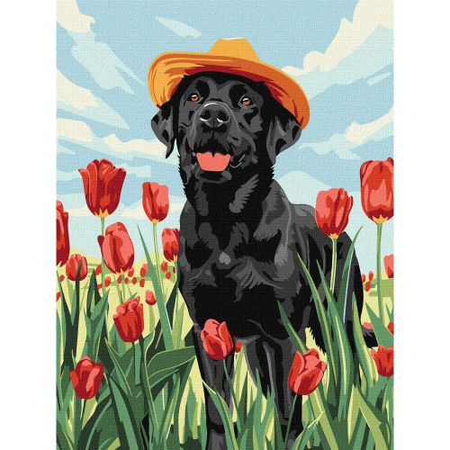 Картина по номерах "Чарівний лабрадор" 30х40  см