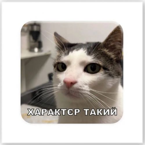 3D стікер "Характєр такий" (ціна за 1 стікер)