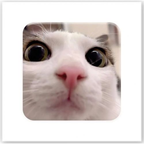 3D стікер "Я все бачу" (ціна за 1 стікер)