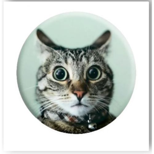 3D стікер "Здивований кіт" (ціна за 1 стікер)