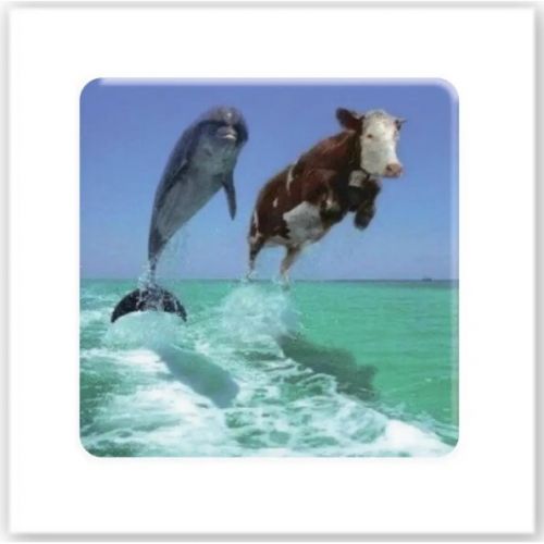 3D стікер "Два дельфіни" (ціна за 1 стікер)