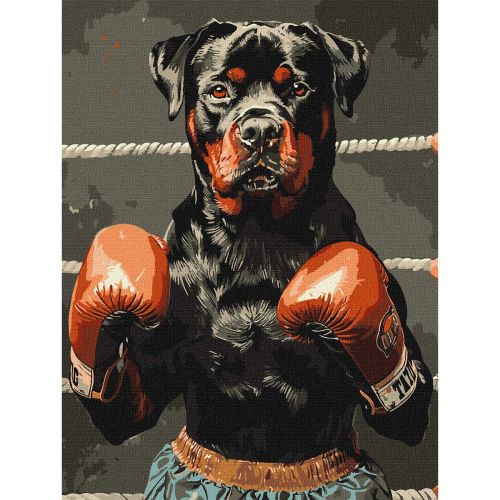 Картина по номерах "Рингова сила" 30х40 см