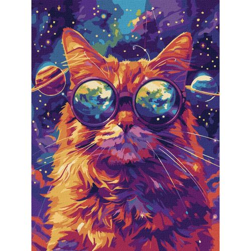 Картина по номерах "Зоряні окуляри" 30х40 см