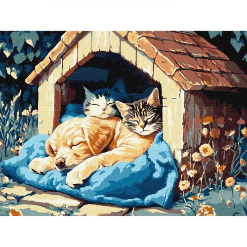 Картина по номерах "Тихий час" 30х40 см