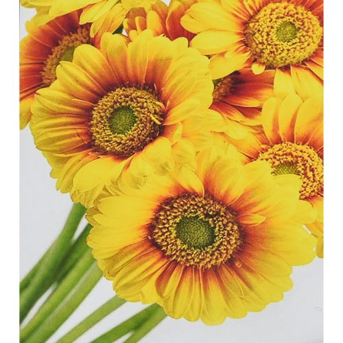 Алмазна мозаїка "Сонячні квіти", 30х40 см