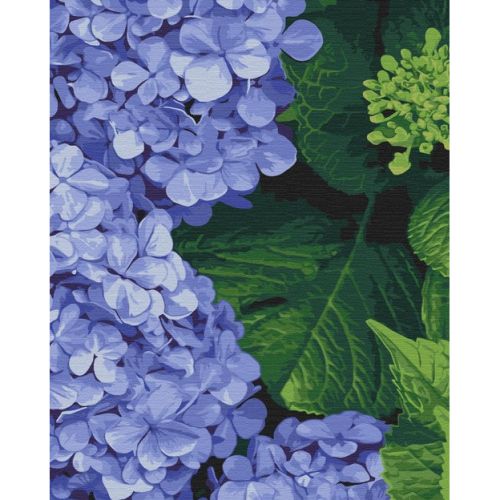 Картина по номерах "Яскрава гортензія" 40х50 см