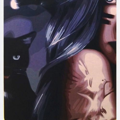 Картина по номерах "Мольфарка" 40х50 см