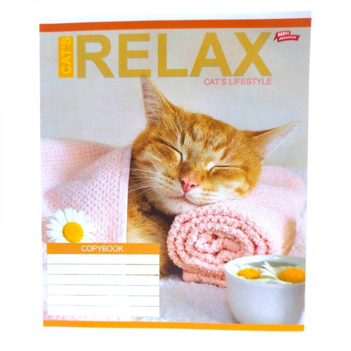 Зошит кольоровий 24 аркушів, лінія (16 штук в упаковці)