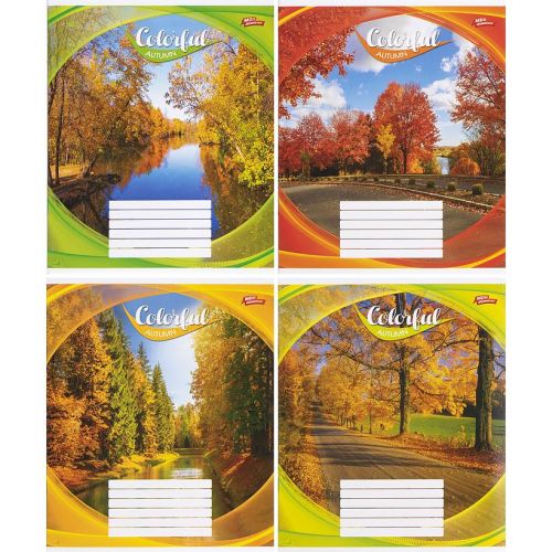 Зошит кольоровий 24 аркушів, клітинка (16 штук в упаковці)