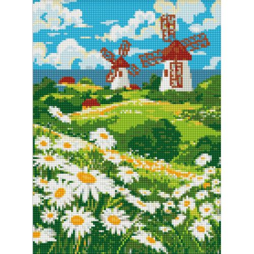 АЛМАЗНА МОЗАЇКА "ПОЛЕ РОМАШОК" 30х40 см