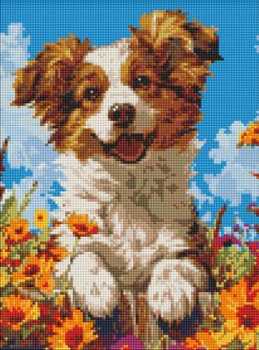 Алмазна мозаїка - "Собака у квітах" ©art_selena_ua, 30х40см