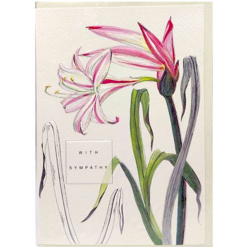 Листівка 167х118 мм, набір 10 шт