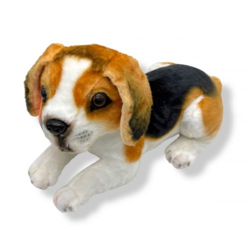 Пес Оскар 2 м