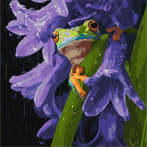 Картина по номерах "Жабеня під дощем" 40х40см