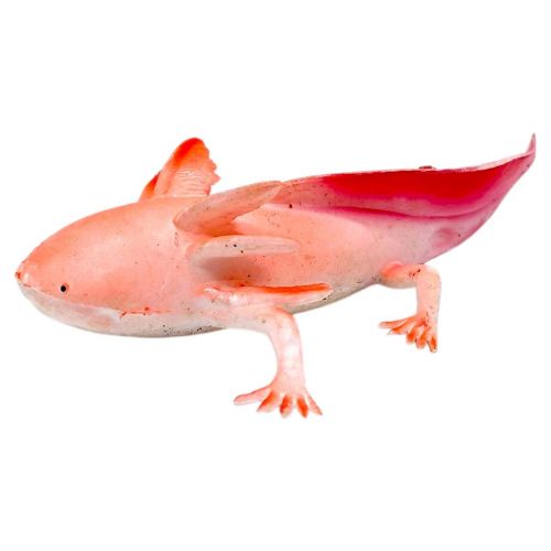 Іграшка антистрес "Тварина гумова" (АКСОЛОТЛЬ)