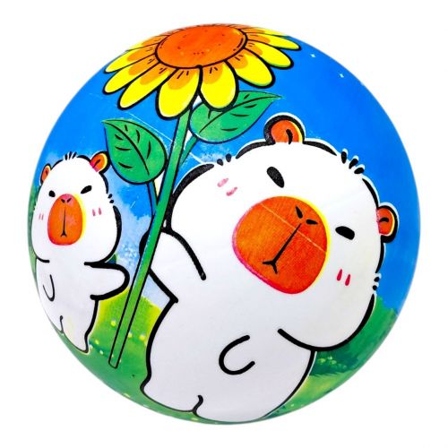 Мʼяч гумовий 9", 60грам (мікс видів)