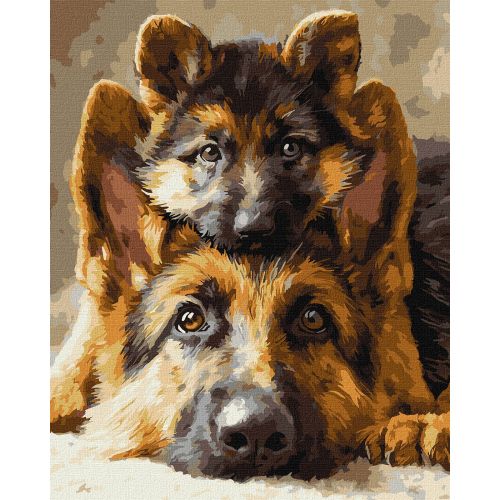 Картина по номерах "Разом завжди" 40х50см