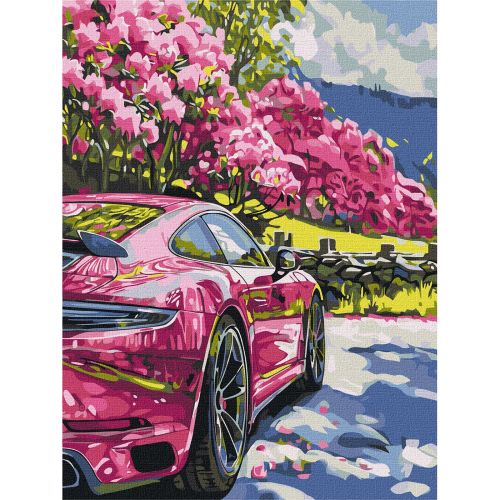 Картина по номерах "Рух у кольорі" 30х40см